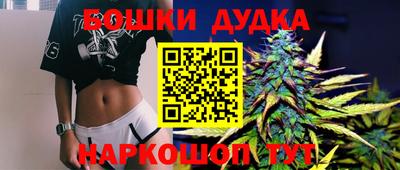 соль ск Будённовск