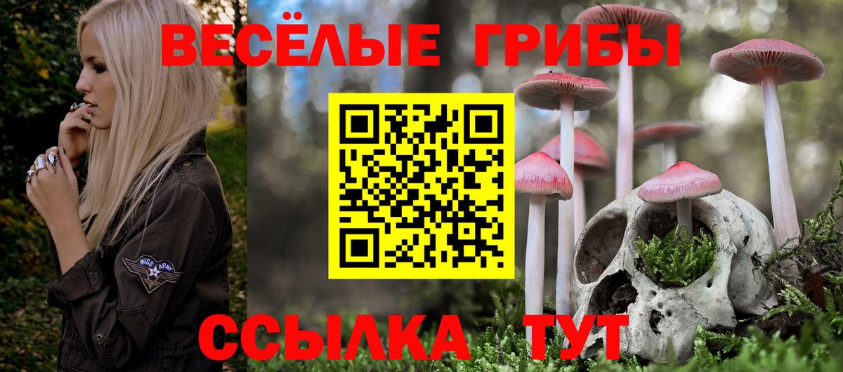 Псилоцибиновые грибы Psilocybe  наркотики  Обь  Вход с VPN  Псилоцибиновые грибы MAGIC MUSHROOMS 